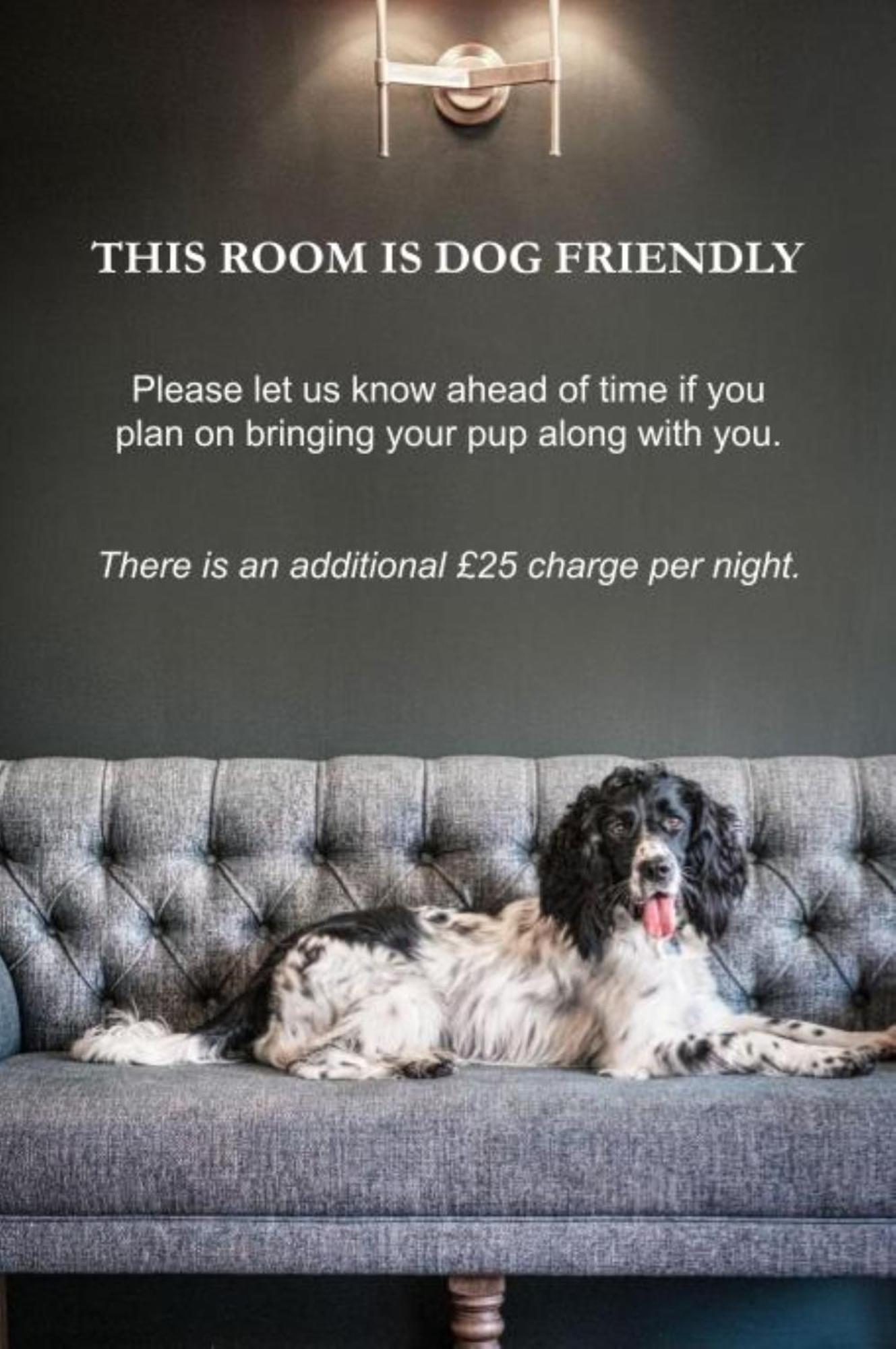 The Globe Inn Wells-next-the-Sea ภายนอก รูปภาพ